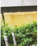 The Hundreds(ザ ハンドレッツ)の「帽子(キャップ)」