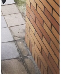 adidas Originals | シューズ