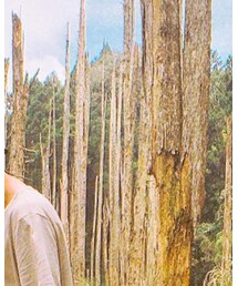 NEW ERA | キャップ