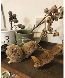 オーナメント/ニトリ | その他