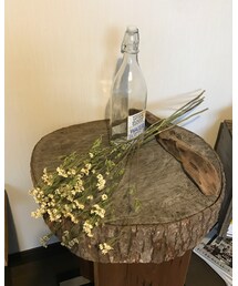 🌿マトリカリヤ | 小さくて、かわいい白色の花(*´꒳`*)(フラワーベース)