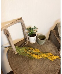 Mimosa | 小さいな、キイロのポンポンがたくさん、くっついてます♡(フラワーベース)