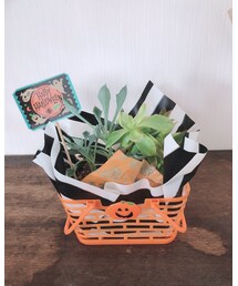 no brand | フラワーベース