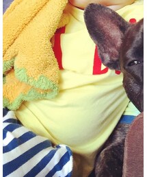 BOBO CHOSES | Tシャツ/カットソー