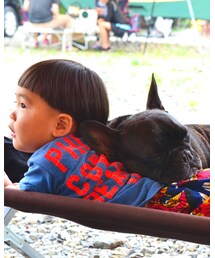 frenchbulldog | その他