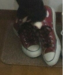 CONVERSE | スニーカー