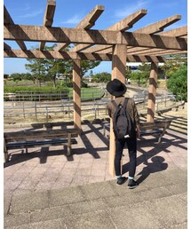これは木？石？ | その他