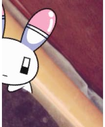 うさたん | その他小物