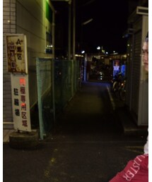 adidas | トップス