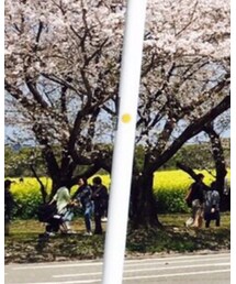 UNIQLO | カーディガン/ボレロ