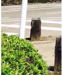 靴下屋 | ソックス/靴下