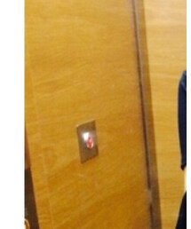 EMODA | Tシャツ/カットソー