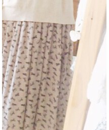 Kastane | ワンピース