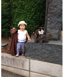 UNIQLO | ネコと戯れる🎶(その他パンツ)