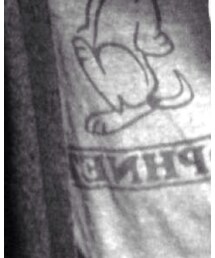 SOPHNET. | Tシャツ/カットソー