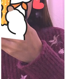 pittypiggy | その他トップス