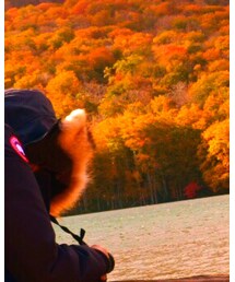 CANADA GOOSE | ダウンジャケット/コート