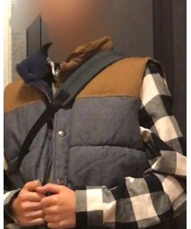 GAP | ダウンベスト