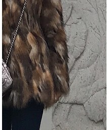 ZARA | その他アウター