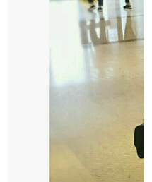 mooncat | アンサンブル