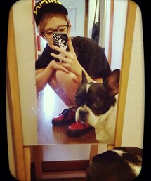 フレンチブルドッグ | 愛犬AJ  シュッとしたフレブルw(その他)