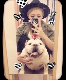 ブルドッグ | ♡My Dog♡(その他)
