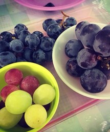 IROIRO | 食べくらべ三昧♡(その他)