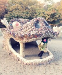 Help me〜〜〜‼︎ | ドラゴン(福袋/福箱)