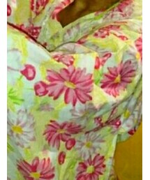 no brand | その他