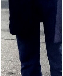 Inpaichthys kerri | デニムパンツ