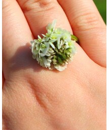 しろつめくさ | リング