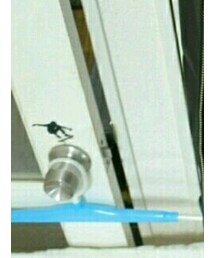 ドア･ノブ | ブラジャー