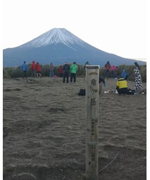 富士山 | 福袋/福箱
