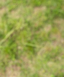 babyGAP | その他パンツ