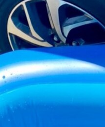 こども ビームス | 水着