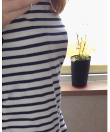 ORCIVAL | Tシャツ/カットソー