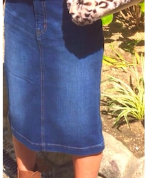 179/WG NICOLE CLUB | デニムスカート