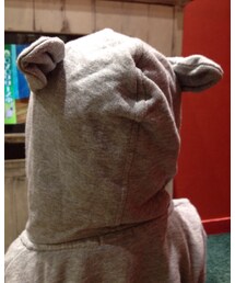 くまのミミ | その他