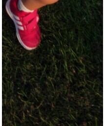 adidas | スニーカー