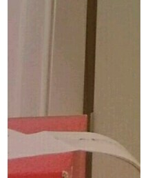 adidas Originals | スニーカー