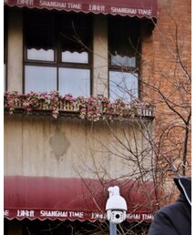 Champion | パーカー