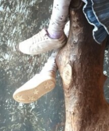 ZARA | スニーカー