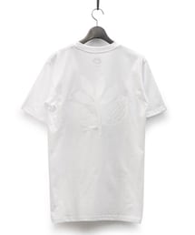 MAGENTA | Tシャツ/カットソー