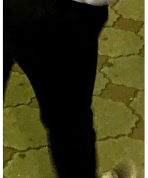 GU | チノパンツ