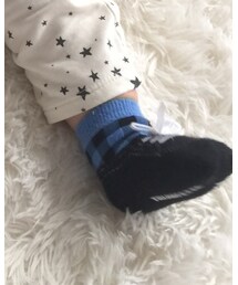 TRUMPETTE | ソックス/靴下