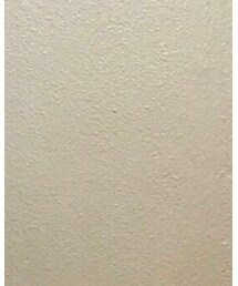 BAYFLOW | カーゴパンツ