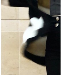 LAMIA | カーディガン/ボレロ