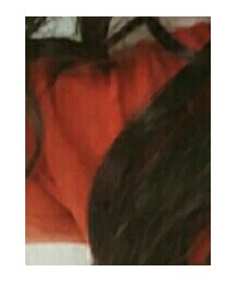 CONVERSE | パーカー