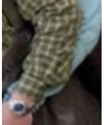 THE NORTH FACE | シャツ/ブラウス