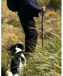 L.L.Bean | カーゴパンツ